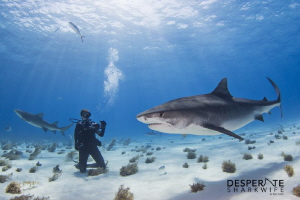 My wife Kimber uses her point and shoot camera to capture... by Ken Kiefer 
